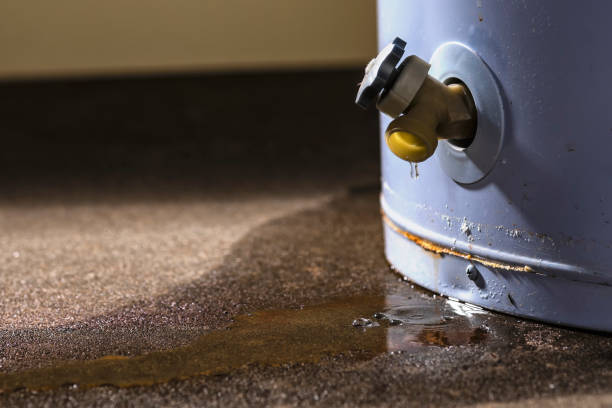 Best Carpet water damage restoration  in Harbor Beach, MI