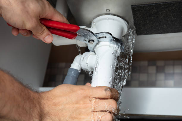 Best Local water damage restoration  in Harbor Beach, MI
