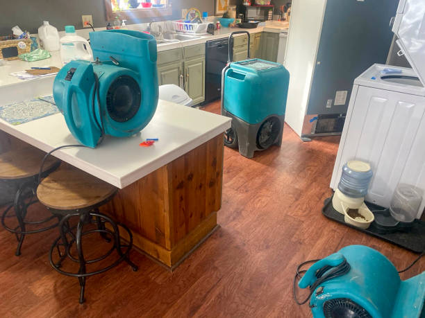 Best Local water damage restoration  in Harbor Beach, MI