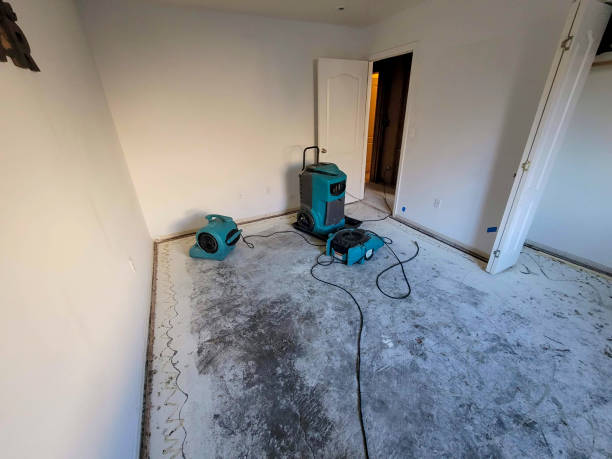 Best Emergency water damage restoration  in Harbor Beach, MI