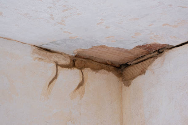 Best Local water damage restoration  in Harbor Beach, MI