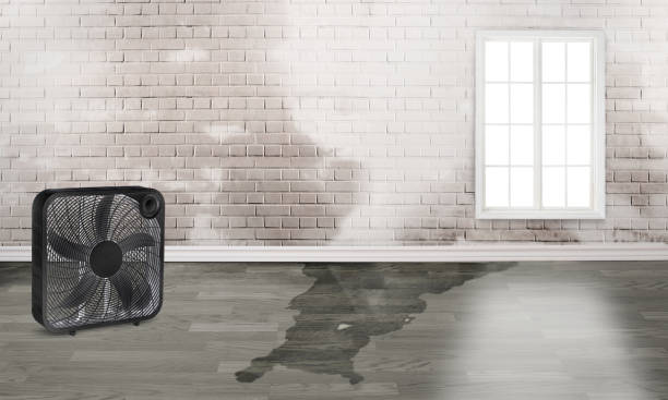 Best Commercial water damage restoration  in Harbor Beach, MI