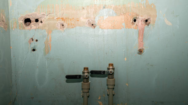 Best Flood restoration services  in Harbor Beach, MI