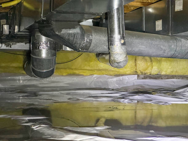 Best Ceiling water damage repair  in Harbor Beach, MI