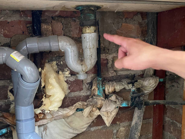 Best Professional water damage repair  in Harbor Beach, MI