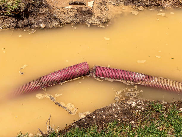  Harbor Beach, MI Water damage restoration Pros